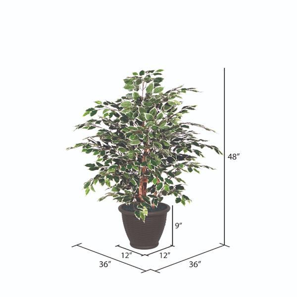 4' Artificial Extra Full Variegated Ficus Bush 2