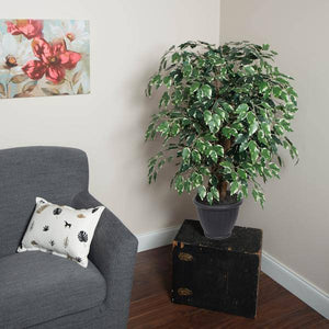 4' Artificial Extra Full Variegated Ficus Bush 3