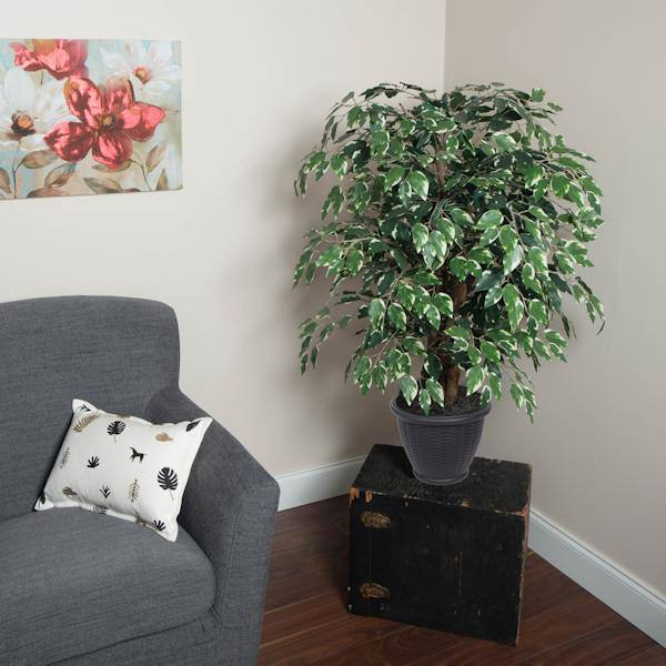 4' Artificial Extra Full Variegated Ficus Bush 3