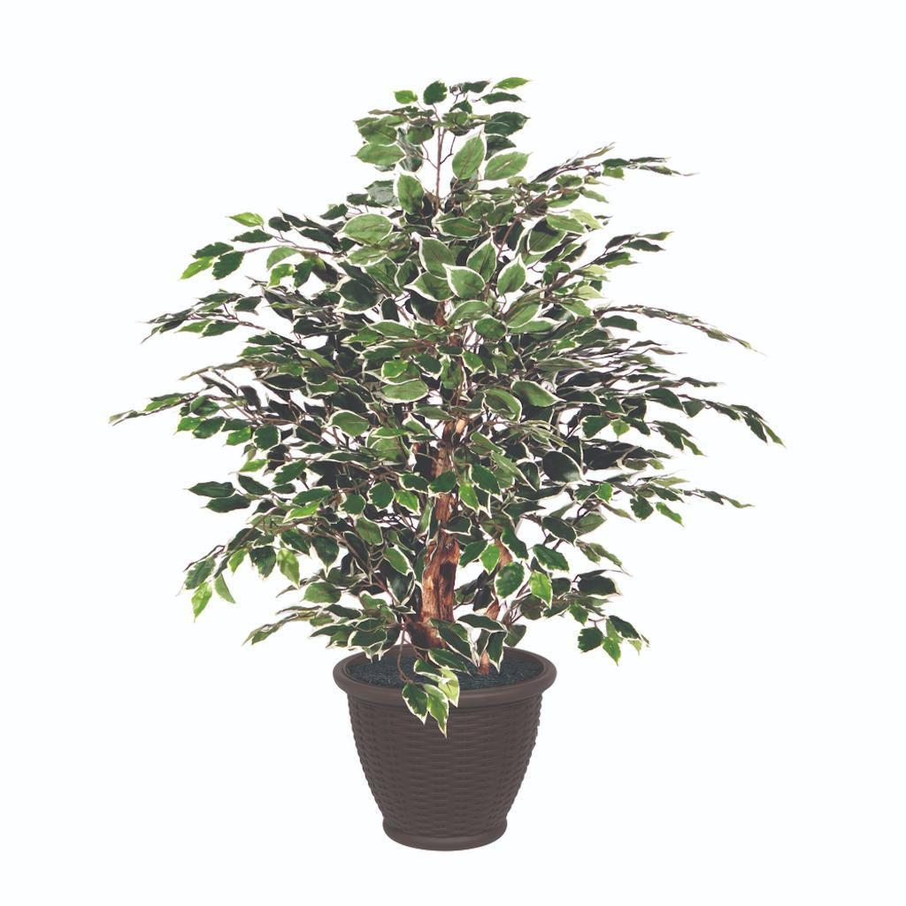 4' Artificial Extra Full Variegated Ficus Bush 1