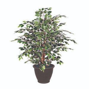 4' Artificial Extra Full Variegated Ficus Bush 1