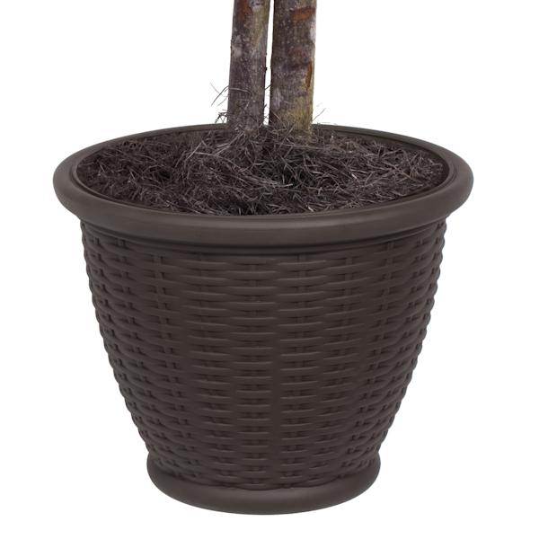 4' Artificial Green Mini Ficus Extra Full Bush in Brown Container 2