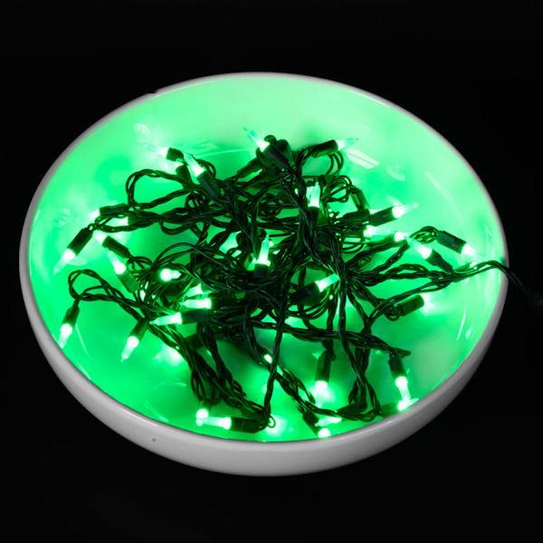 25' 50 Light Green Frosted Single Mold Italian LED Christmas light set 3