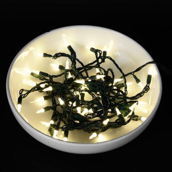 25' 50 Light Warm White Frosted LED Christmas Light Set 4