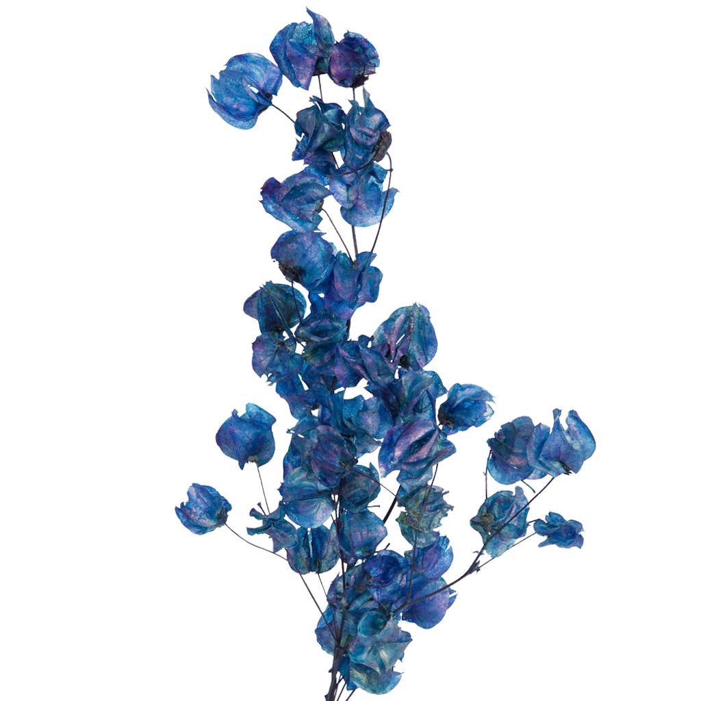 13.5"-17" 60 Blooms Navy Cara Blossoms 1