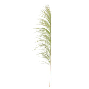 60-72" Basil Uva Palm Spray (10 pack) 1
