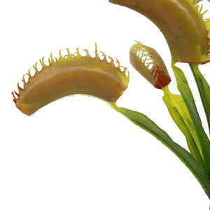 12" Artificial Green Venus Flytrap Plant 3