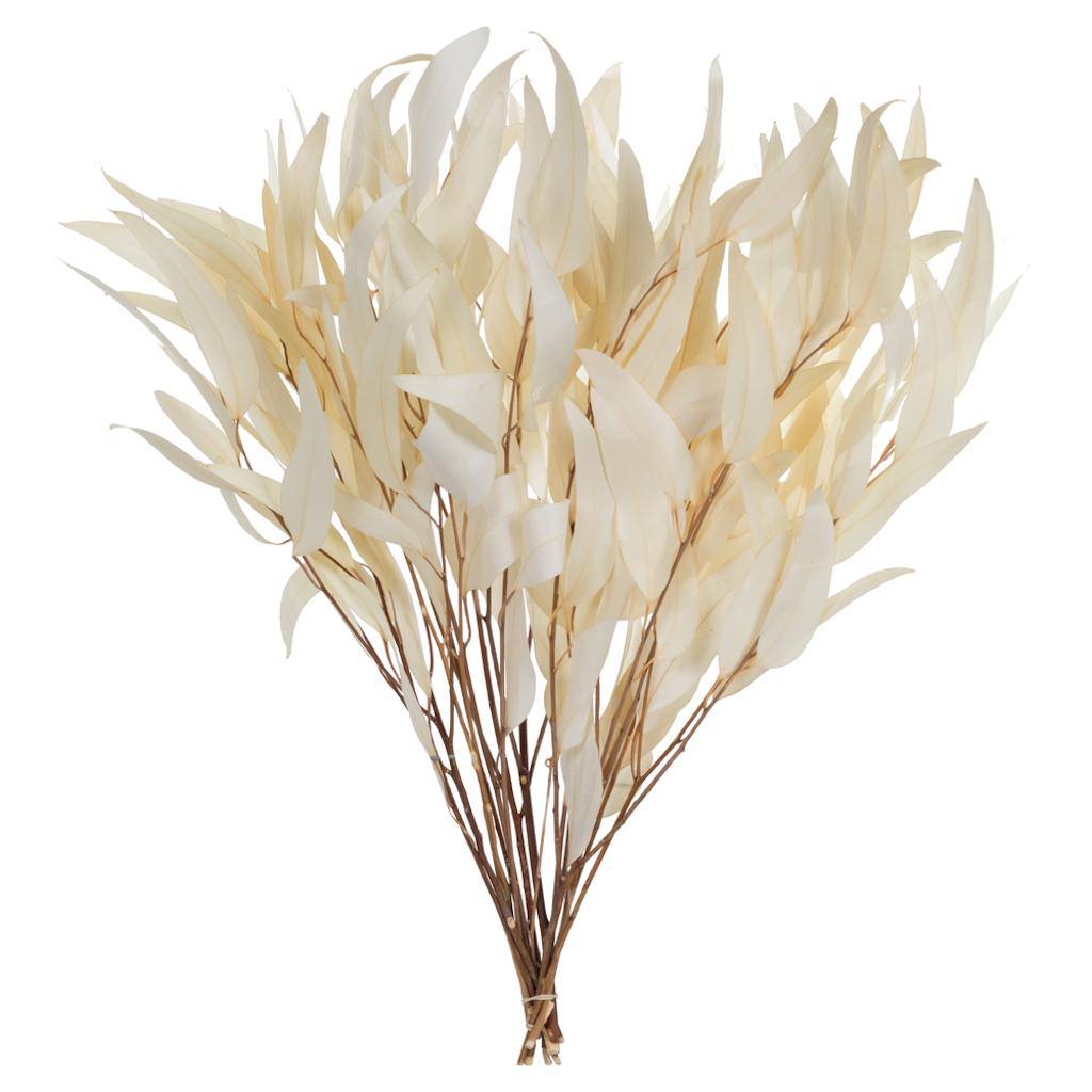 18"-20" Bleached Preserved Weeping Willow Eucalyptus (3.5oz bundles) 1