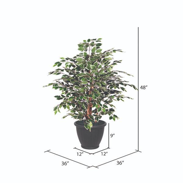 4' Artificial Extra Full Variegated Ficus Bush 2