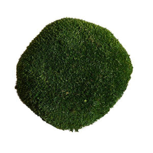 1lbs Apple Green Preserved Pole Moss Bundle 2