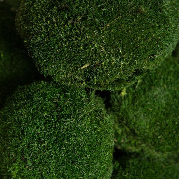 1lbs Apple Green Preserved Pole Moss Bundle 4