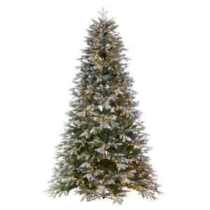 14' x 106" Artificial Frosted Douglas Fir 2400 Warm White Mini Lights 1
