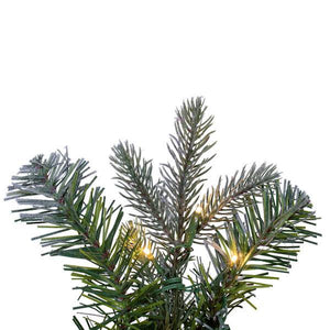60" Artificial Frosted Douglas Fir 200 Dura-Lit® LED Warm White Lights 4