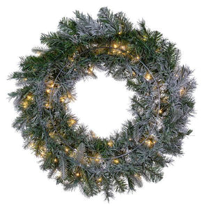 60" Frosted Douglas Fir 600 LED Warm White Lights 2