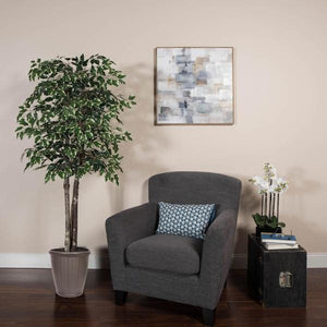 6' Deluxe Variegated Ficus Tree 3
