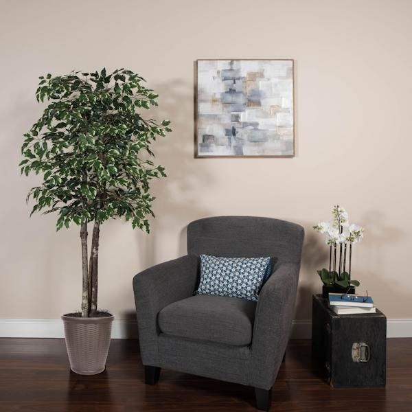 6' Deluxe Variegated Ficus Tree 3