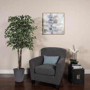 6' Deluxe Variegated Ficus Tree 3