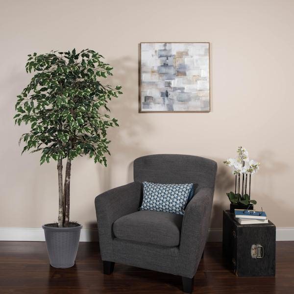 6' Deluxe Variegated Ficus Tree 3