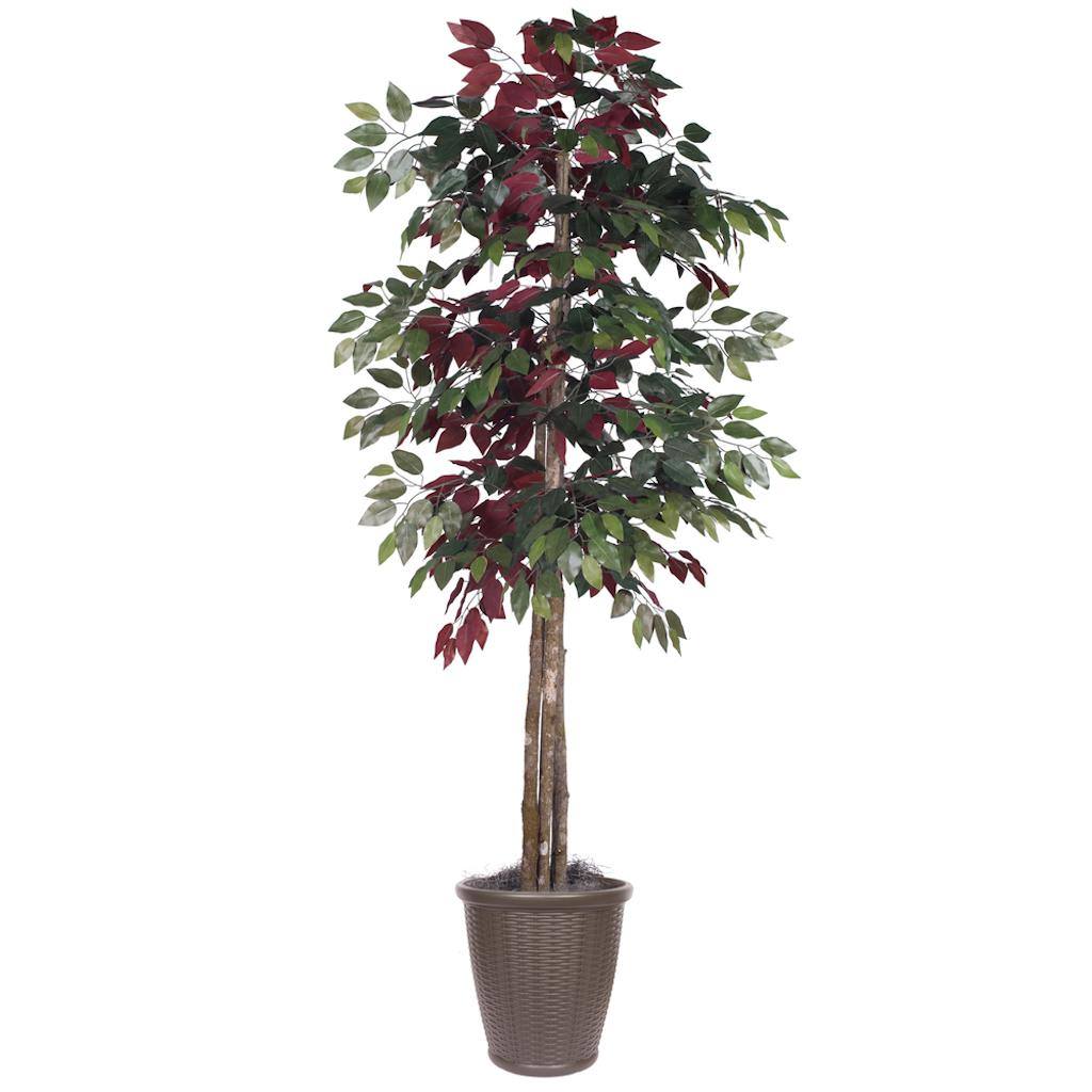 6' Artificial Deluxe Capensia Tree 1