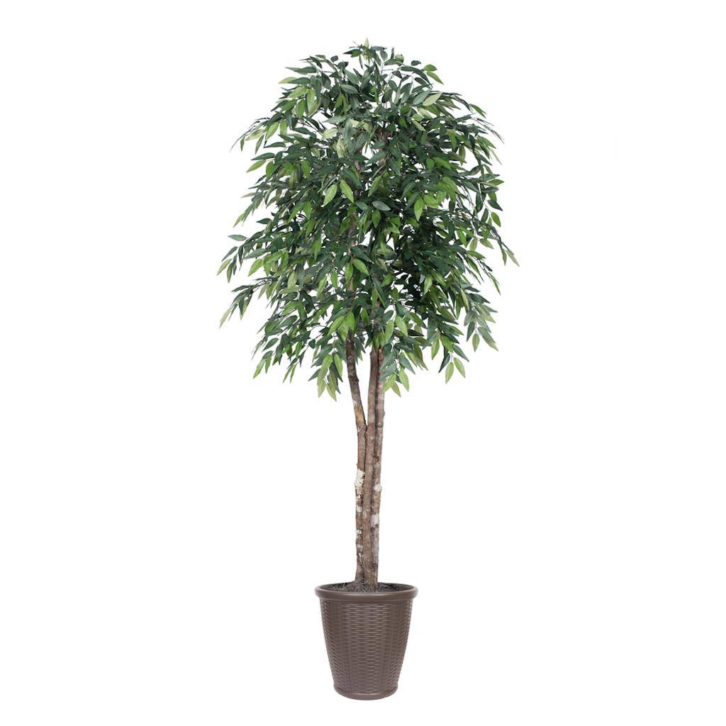 6' Green Smilax Deluxe Round Brown 1