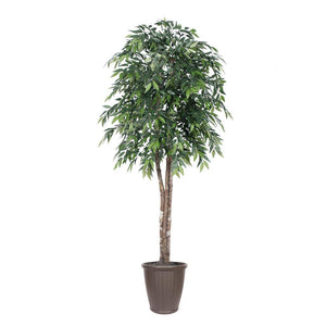 6' Green Smilax Deluxe Round Brown 1