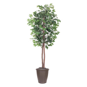 6' Artificial Ficus Tree 1