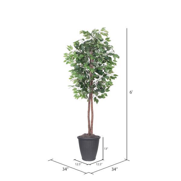 6' Artificial Ficus Tree 4