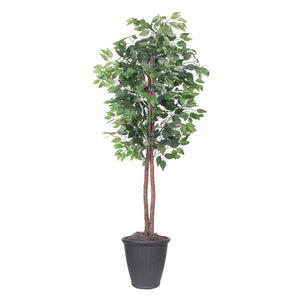 6' Artificial Ficus Tree 1
