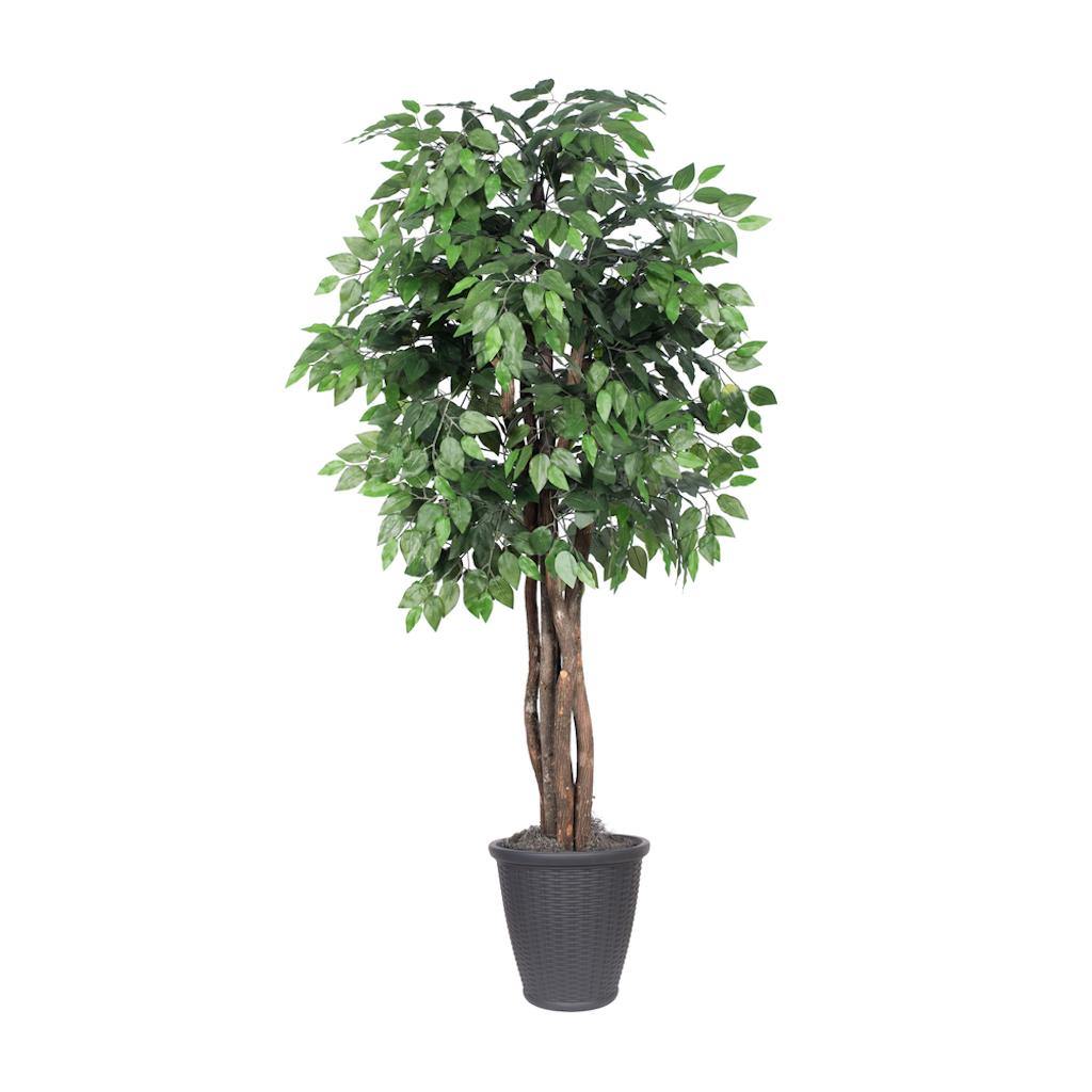 6' Artificial Executive Ficus Tree 1