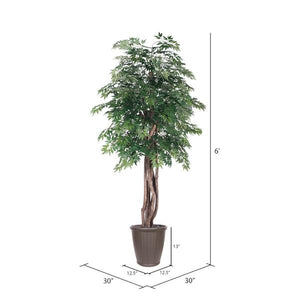 6' Artificial Executive Ming Aralia Tree 4