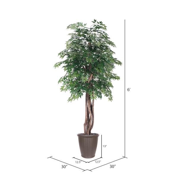6' Artificial Executive Ming Aralia Tree 4