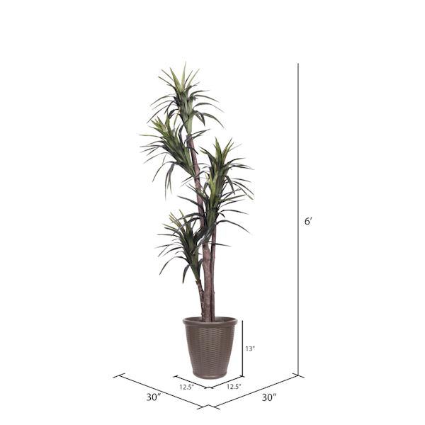 6' Artificial Executive Marginata Tree 4