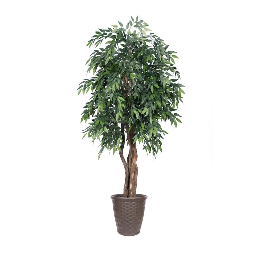 6' Artificial Executive Green Smilax Tree 1