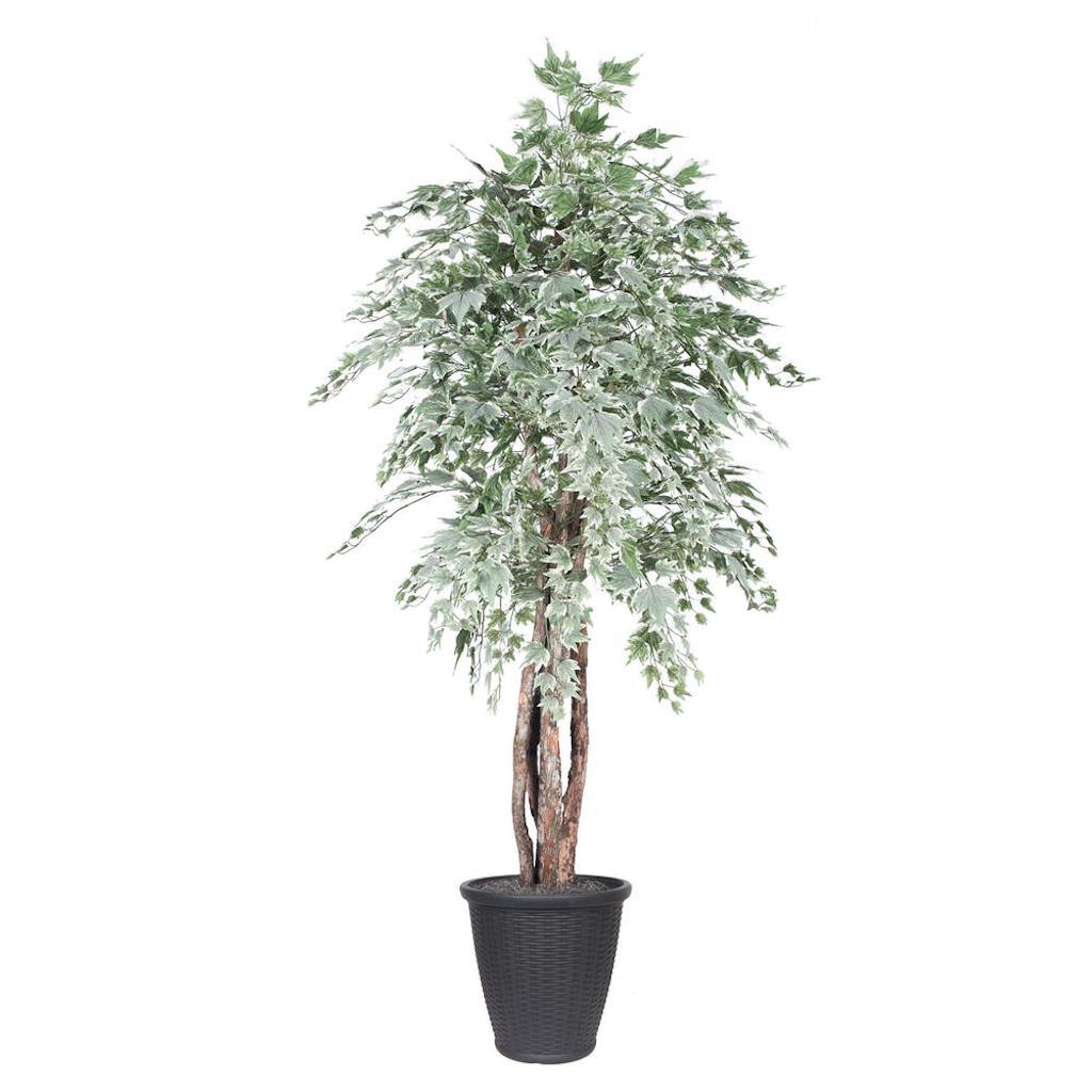 6' Silver Maple Executive Round Gray 1