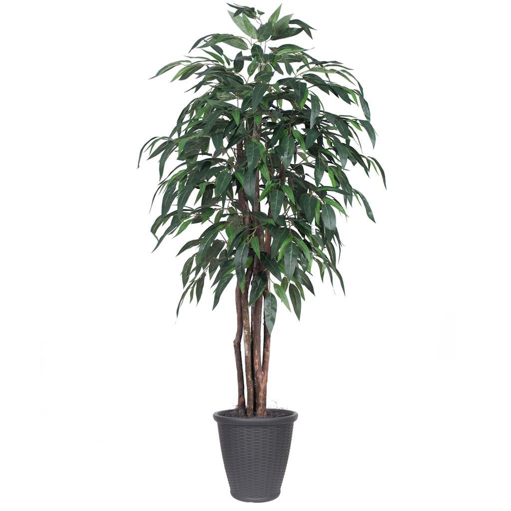 6' Artificial Executive Mango Tree 1