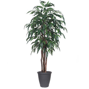 6' Artificial Executive Mango Tree 1