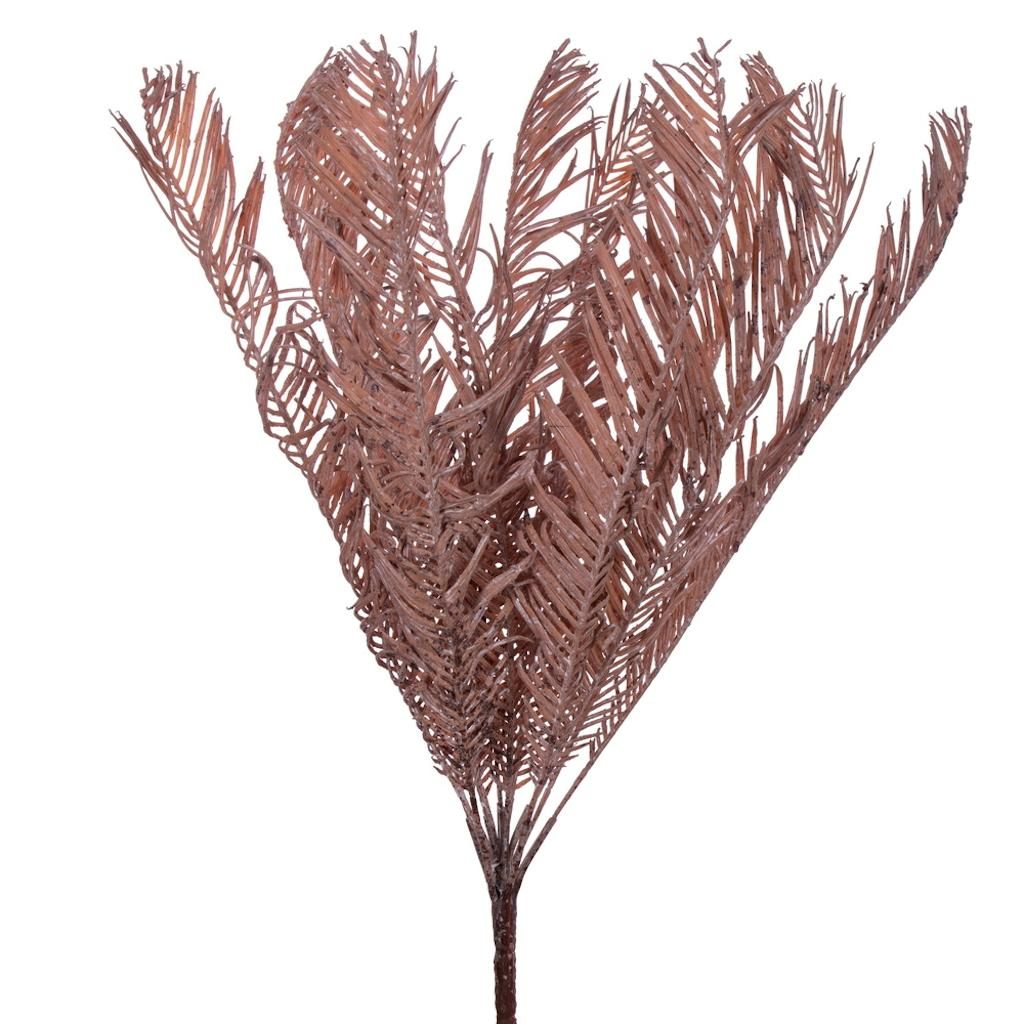 21" Light Brown Dry Palm Cycas Bush 1