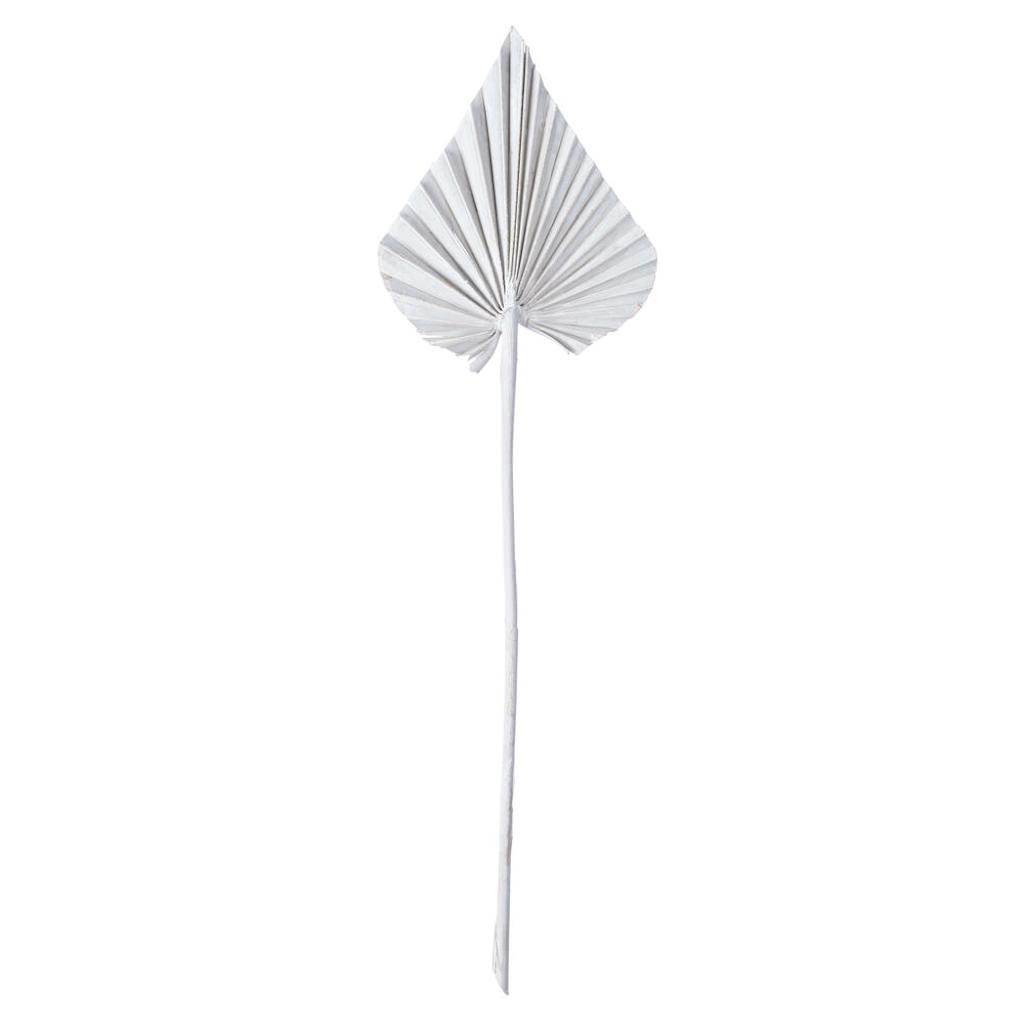 15.75-19.5" White Wash Palm Spear (12 Pack) 1