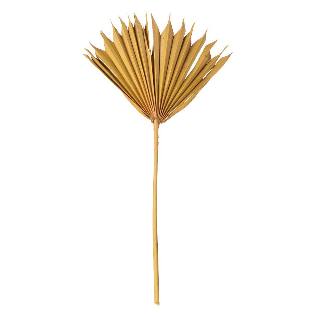 13.75-19.5" Aspen Gold Palm Spear (12 Pack) 1