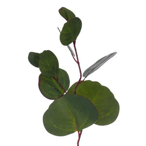 20" Artificial Green Silver Dollar Populus Eucalyptus Wreath 2