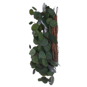 20" Artificial Green Silver Dollar Populus Eucalyptus Wreath 3