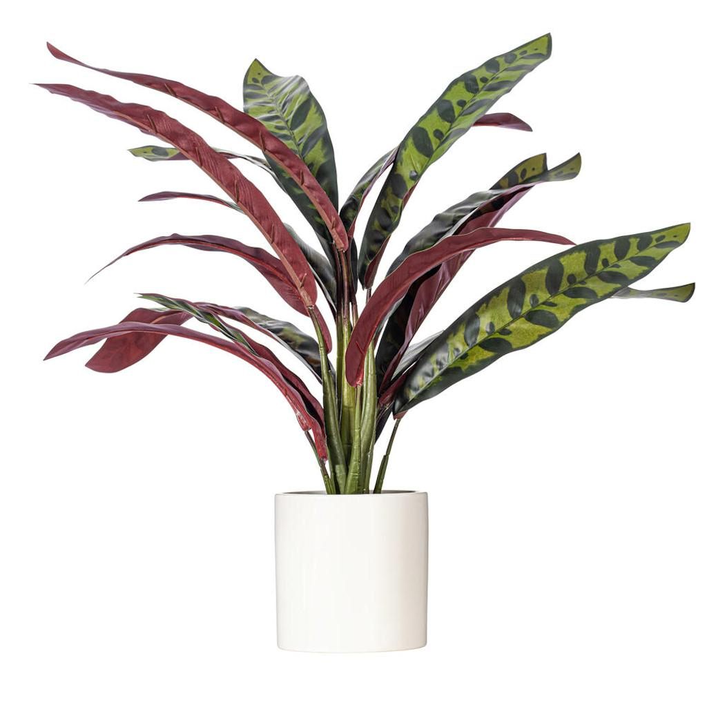 19" Artificial Rattlesnake Calathea Lancifolia Potted Plant 1