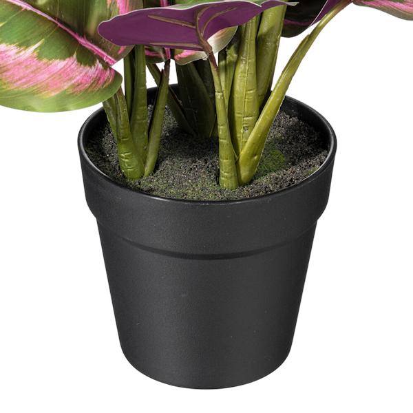 16" Artificial Calathea Roseopicta Potted Plant 2