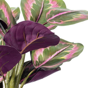16" Artificial Calathea Roseopicta Potted Plant 3