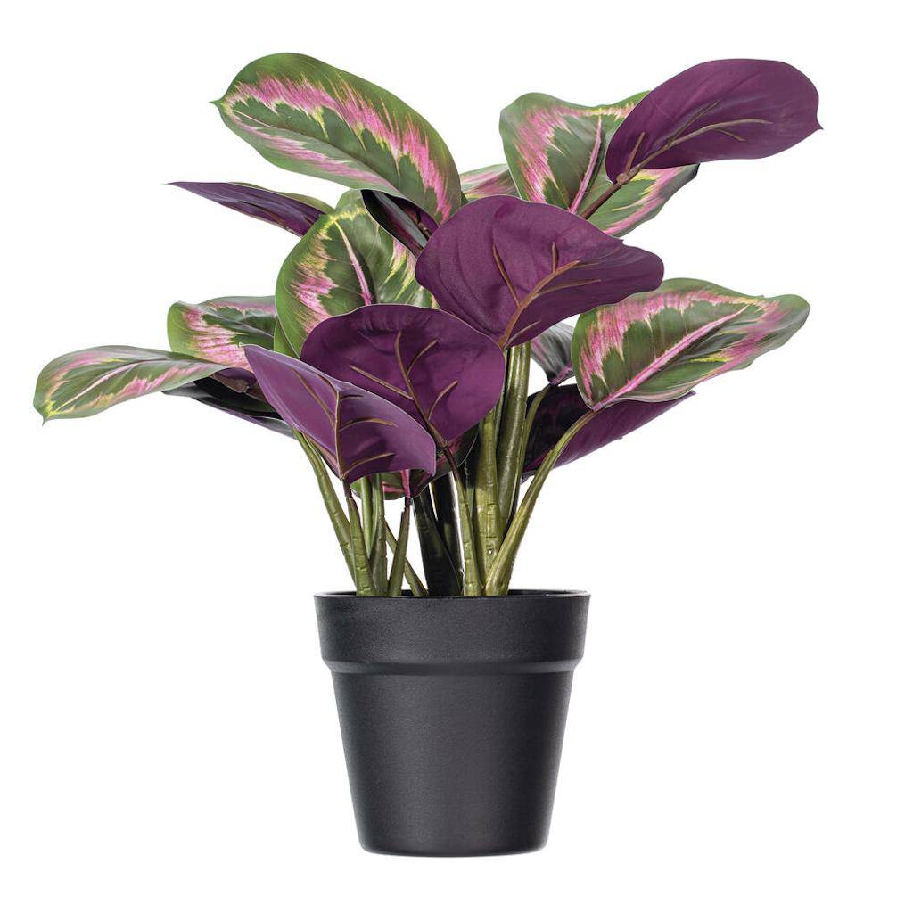 16" Artificial Calathea Roseopicta Potted Plant 1