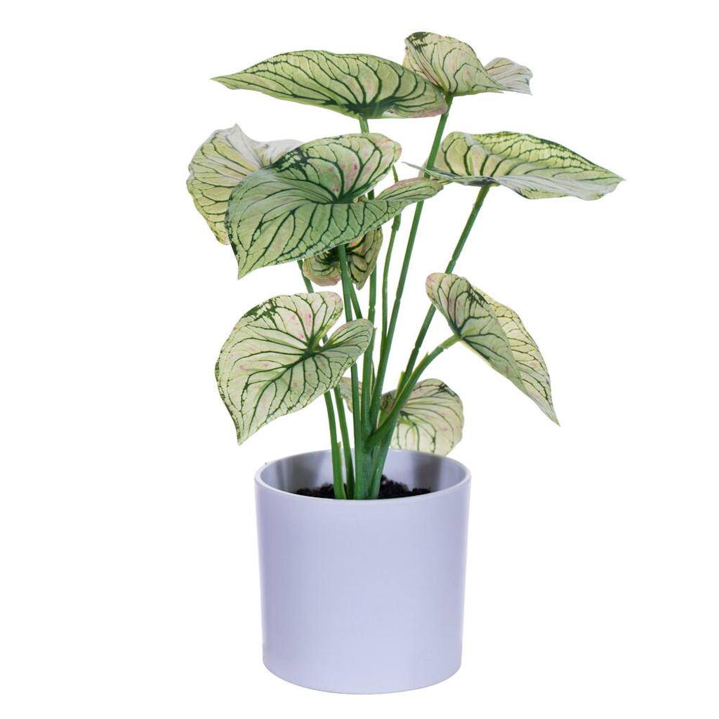 11.5" Artificial Light Green Leaves in Pot (2 Pack) 1