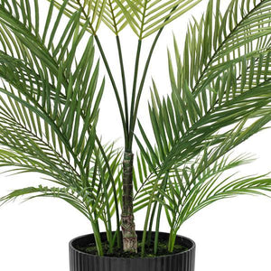 60" Green Areca Palm Plant 2