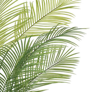 60" Green Areca Palm Plant 3