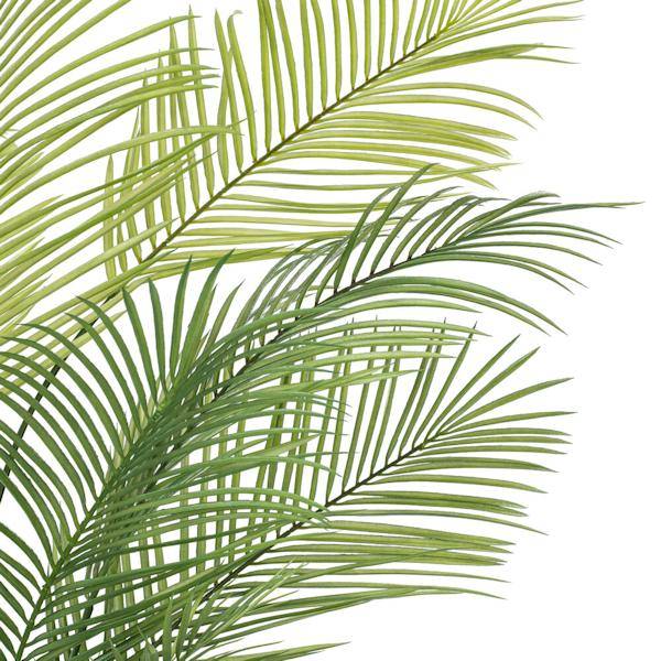 60" Green Areca Palm Plant 3