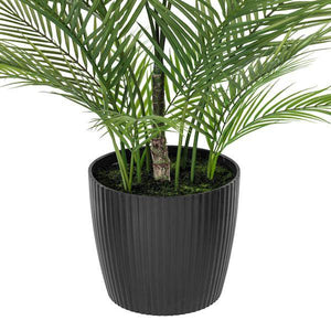 60" Green Areca Palm Plant 4